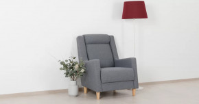 Дилан Кресло для отдыха арт. ТК 423 в Челябинске - chelyabinsk.mebel-tymen.ru | фото