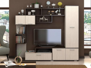 Гостиная Капри венге-дуб белфорт в Челябинске - chelyabinsk.mebel-tymen.ru | фото