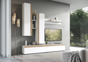 Гостиная НАО-Моно №1 в Челябинске - chelyabinsk.mebel-tymen.ru | фото