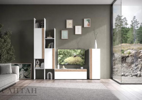 Гостиная НАО-Моно №3 в Челябинске - chelyabinsk.mebel-tymen.ru | фото