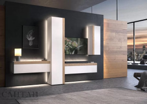 Гостиная НАО-Моно №7 в Челябинске - chelyabinsk.mebel-tymen.ru | фото