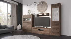 Гостиная Серия Регина дуб самдал в Челябинске - chelyabinsk.mebel-tymen.ru | фото