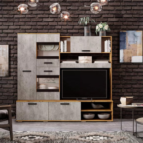 Гостиная Трамп ЦС-05 в Челябинске - chelyabinsk.mebel-tymen.ru | фото