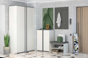 Иннэс-12 Прихожая №2 Диал в Челябинске - chelyabinsk.mebel-tymen.ru | фото