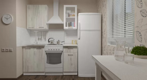 Кухонный гарнитур Алина мини 1000 мм в Челябинске - chelyabinsk.mebel-tymen.ru | фото