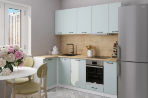 Кухонный гарнитур Лиора прайм 400 1100х2000 мм в Челябинске - chelyabinsk.mebel-tymen.ru | фото