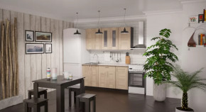 Кухонный гарнитур Ника стандарт 1600 мм в Челябинске - chelyabinsk.mebel-tymen.ru | фото