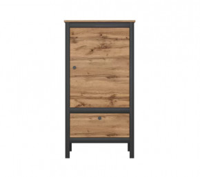 LOFT шкаф REG1D1S/60 (Дуб вотан/Черный) в Челябинске - chelyabinsk.mebel-tymen.ru | фото