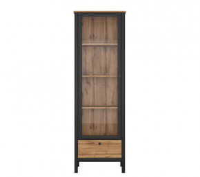 LOFT шкаф REG1W1S (Дуб вотан/Черный) в Челябинске - chelyabinsk.mebel-tymen.ru | фото