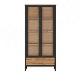 LOFT шкаф REG2W1S (Дуб вотан/Черный) в Челябинске - chelyabinsk.mebel-tymen.ru | фото