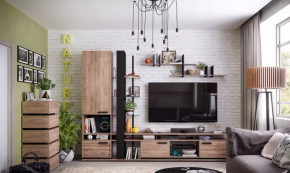 Модульная гостиная Nature в Челябинске - chelyabinsk.mebel-tymen.ru | фото