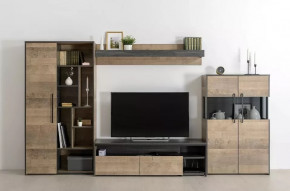 Модульная гостиная Трувор в Челябинске - chelyabinsk.mebel-tymen.ru | фото