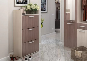 Обувница №2 Дели в Челябинске - chelyabinsk.mebel-tymen.ru | фото