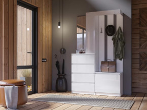 Прихожая Челси белый в Челябинске - chelyabinsk.mebel-tymen.ru | фото