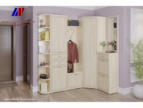 Прихожая Карина набор 5 в Челябинске - chelyabinsk.mebel-tymen.ru | фото