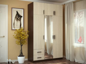 Шкаф 3-х створчатый с перегородкой венге/лоредо БТС в Челябинске - chelyabinsk.mebel-tymen.ru | фото