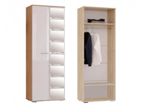 Шкаф Флай ШК-04 в Челябинске - chelyabinsk.mebel-tymen.ru | фото