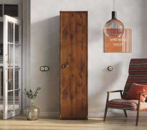 Шкаф JREG 1d Дуб саттер ИНДИАНА в Челябинске - chelyabinsk.mebel-tymen.ru | фото