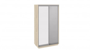 Шкаф-купе 2-х дверный «Румер» в Челябинске - chelyabinsk.mebel-tymen.ru | фото