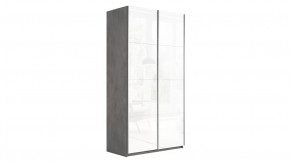 Шкаф-купе 2-х дверный «Траст» в Челябинске - chelyabinsk.mebel-tymen.ru | фото