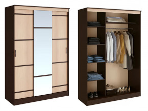 Шкаф-купе Сакура в Челябинске - chelyabinsk.mebel-tymen.ru | фото