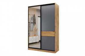 Шкаф-купе SLIM двухдверный BS15-6.ZD в Челябинске - chelyabinsk.mebel-tymen.ru | фото