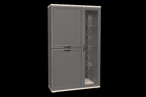 Шкаф многоцелевой ШК-1082 Карина в Челябинске - chelyabinsk.mebel-tymen.ru | фото