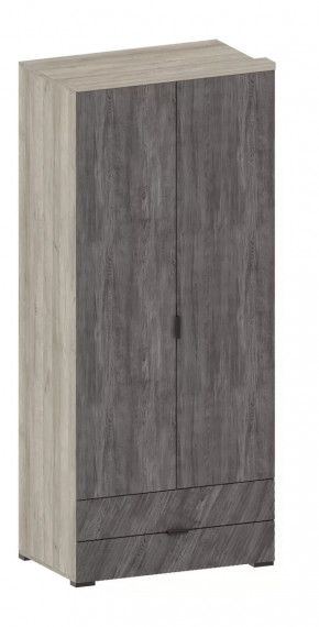 Шкаф Шаде ШК-2905 в Челябинске - chelyabinsk.mebel-tymen.ru | фото