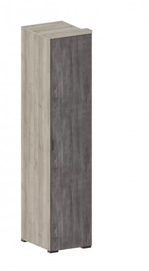 Шкаф Шаде ШК-2911 в Челябинске - chelyabinsk.mebel-tymen.ru | фото