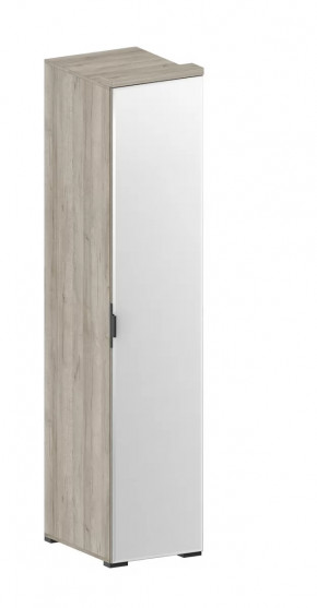 Шкаф Шаде ШК-2912 в Челябинске - chelyabinsk.mebel-tymen.ru | фото