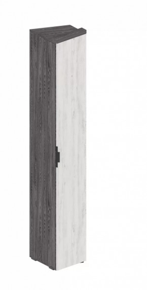 Шкаф Шаде ШК-2931 в Челябинске - chelyabinsk.mebel-tymen.ru | фото