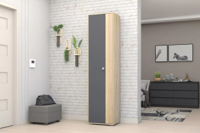 Шкаф ШК-01 Монако в Челябинске - chelyabinsk.mebel-tymen.ru | фото