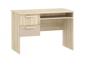 Стол для компьютера НМ 009.19-05 М2 Акварель в Челябинске - chelyabinsk.mebel-tymen.ru | фото