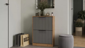 Тумба для обуви «Хилтон» Исп.2 Дуб Крафт золотой, Графит матовый в Челябинске - chelyabinsk.mebel-tymen.ru | фото