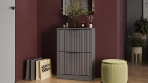 Тумба для обуви «Хилтон» Исп.2 Серый графит, Графит матовый в Челябинске - chelyabinsk.mebel-tymen.ru | фото