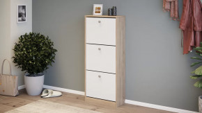 Тумба для обуви «Тетра» Тип 1 Исп. 2 в Челябинске - chelyabinsk.mebel-tymen.ru | фото