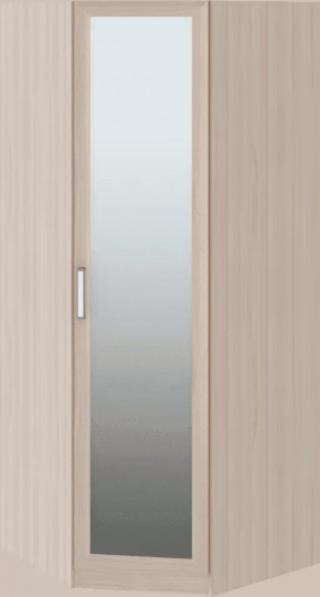 Волкер подростковая М01 Шкаф угловой в Челябинске - chelyabinsk.mebel-tymen.ru | фото